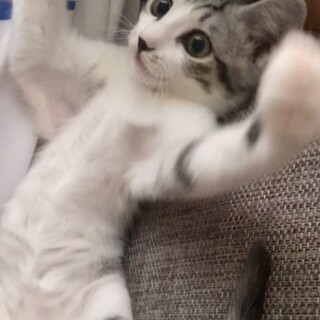 3ヶ月の男の子⭐︎