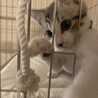 3ヶ月の男の子⭐︎ サムネイル2