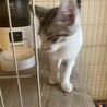 3ヶ月の男の子⭐︎ サムネイル3