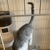 3ヶ月の男の子⭐︎ サムネイル4