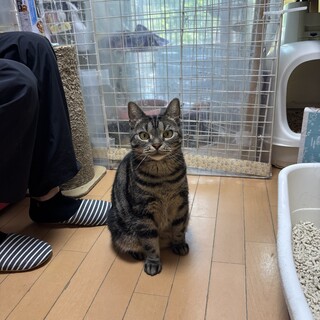 つらい思いをしてきた子、アメリ