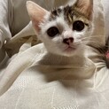 愛嬌も元気もいっぱい！とわくん