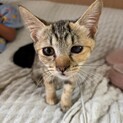 元気いっぱい結ちゃん