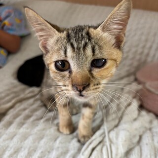 元気いっぱい結ちゃん