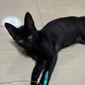 優しい幸くん