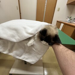 みんな、いままでありがとう！