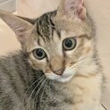 女の子みたいに可愛い男の子！