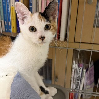 かわいいカリンちゃん❣️