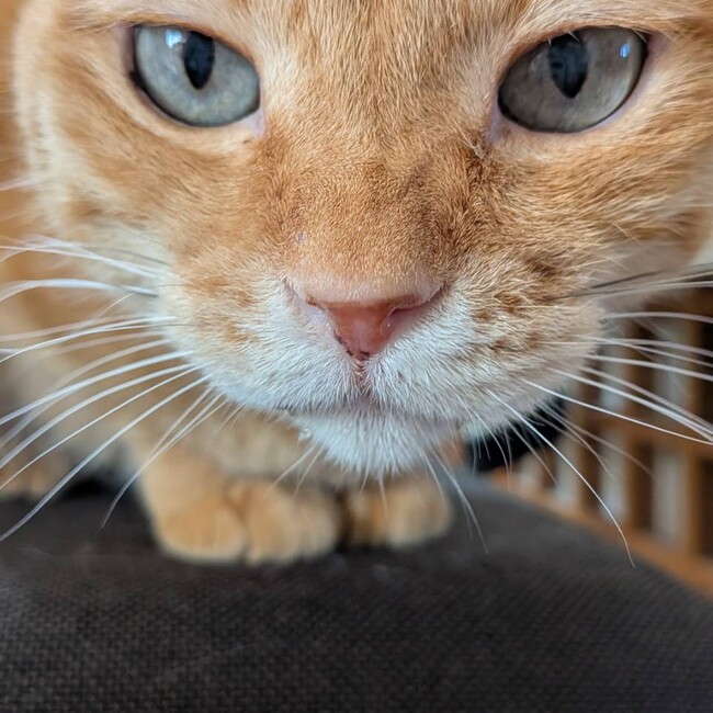 みのさん0225のカバー写真