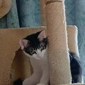 家族として可愛がってくださる方