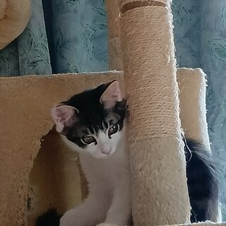 家族として可愛がってくださる方