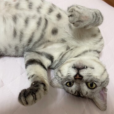 の写真