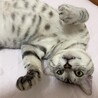 の写真