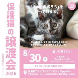 保護猫の譲渡会