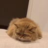 みらちそ