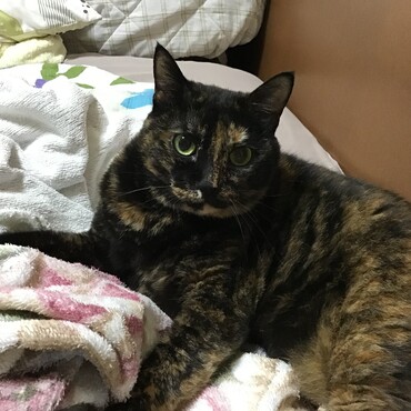 ウニちゃん！！！何があったの？？？？