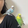 ことです