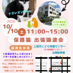 保護猫出張譲渡会