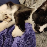 みかん