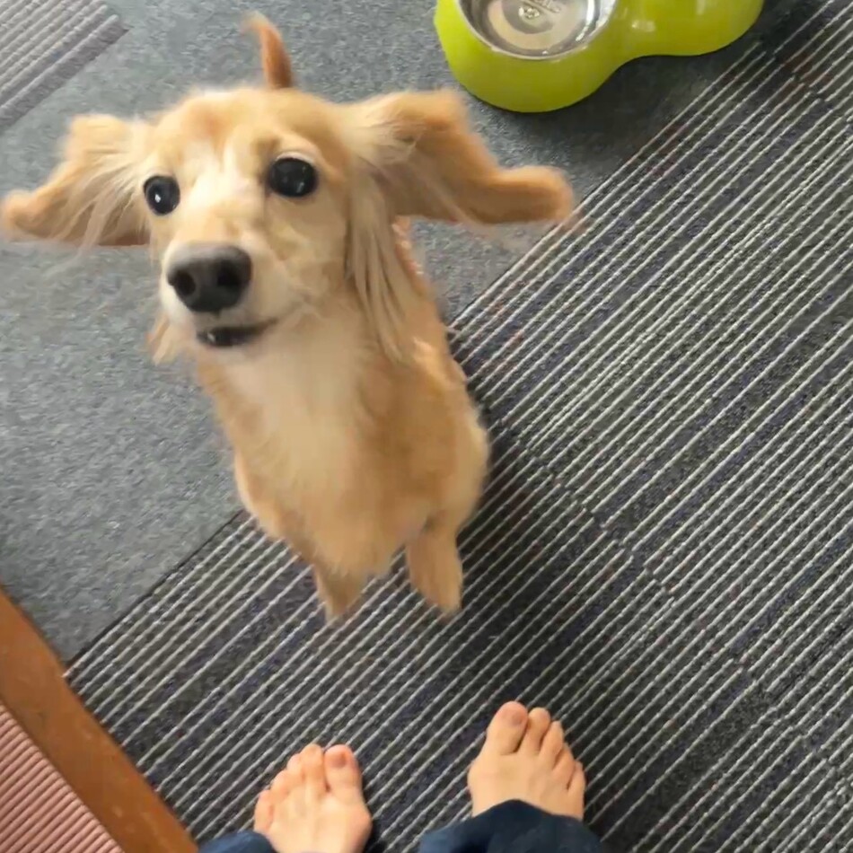 ひめのカバー写真