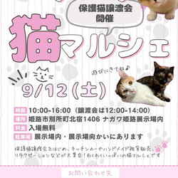 わくわく猫マルシェ
