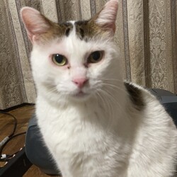 12歳になりました