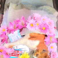 ちーちゃん