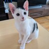 生後4ヶ月の「ごえもんくん」