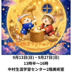 個人ボランティアLove_Cats保護猫譲渡会 9/27