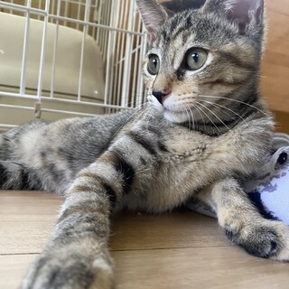 人が大好き♡抱っこもできるかおりさん