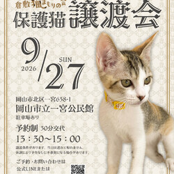 保護猫譲渡会（予約制）
