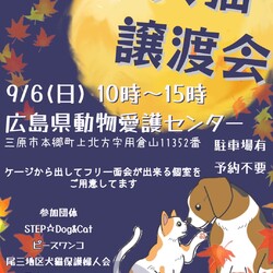 いぬねこ譲渡会