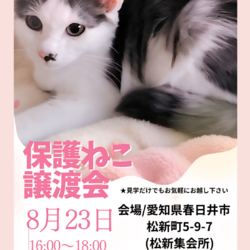 保護ねこ譲渡会かすがい地域ねこ会