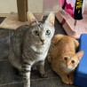 まなみん！