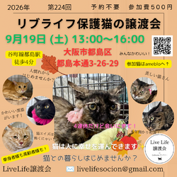 LiveLife譲渡会inキャットソシオンギャラリー