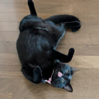グリム