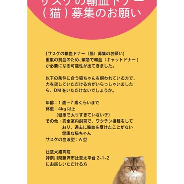 サスケの輸血ドナー募集しています！神奈川県藤沢市です！