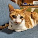 人が大好き甘えん坊☆あさひくん