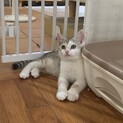 ちょっと人見知りな男の子♡