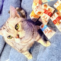 もふ