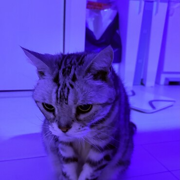 の写真