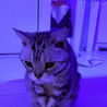 の写真