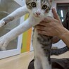 甘えん坊ぐいぐいボーイかしまくん☆