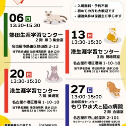 ▼猫の譲渡会▼名古屋市港区
