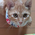 元気いっぱいのアオヤギくん