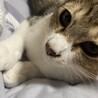 将来は美人さん✨ サムネイル5