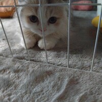 ルナ