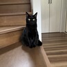 さわ_つるさんちさん