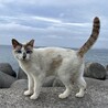 人が大好き！青い瞳の穏やか甘えん坊美人 サムネイル4