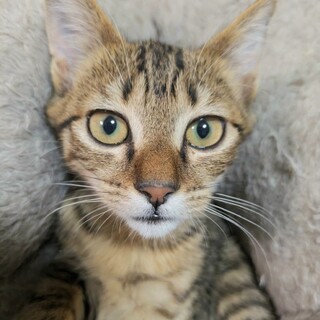 スカッとキュートな甘え上手♥スプライト2カ月半
